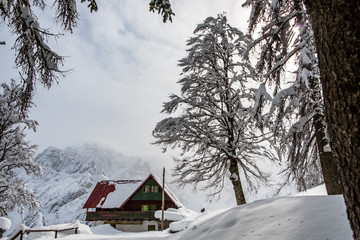 Trekking after a snowfall in the Julian Alps, Friuli-Venezia Giulia, Italy