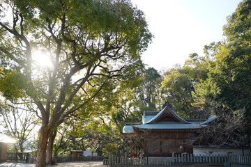 SUITA CITY / TARUMI SHRINE