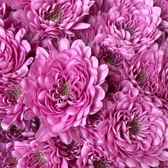 Obraz premium bouquet of flowers
