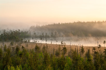 Fototapeta premium Colored sunrise in forest lake with fog, evergreen trees on bog. Northern Karelia, Russia