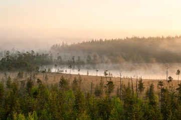 Colored sunrise in forest lake with fog, evergreen trees on bog. Northern Karelia, Russia