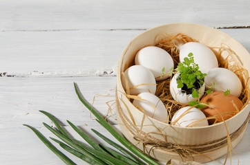In a sieve in the hay there are white chicken eggs, one egg in the center with sprouted herbs, one...