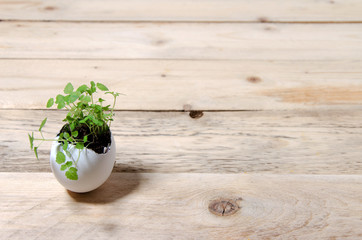 Easter background. On a wooden natural background lies a white chicken egg, in the egg is earth and sprouted greens. minimalism, horizontal background, hard shadows
