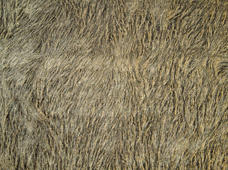 Aerial View Of Rural view from above at dry maize for soil cultivation in february.