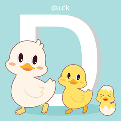 The character of cute family of duck. walking in front of the big font of D for a-z theme. the character of cute duck with a font of D in flat vector style.