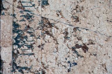 texture of stone wall, in wien, viena, österrike, Austria