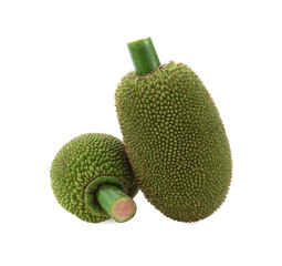 Fresh JackFruit isolated on white background