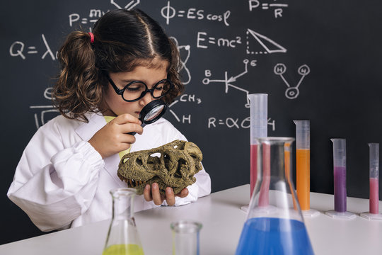 scientist child studying a dinosaur skull