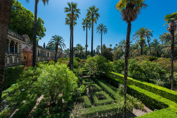 Fototapeta na wymiar Jardin du Real Alcázar de Sevilla