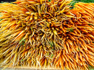 Orange and yellow carrots for sale at an agricultural market in New York. Bright background