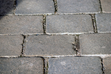 old brick wall, in wien, viena, österrike, Austria