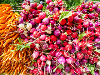 Red and purple radishes, orange carrots for sale at an agricultural market in New York. Bright background
