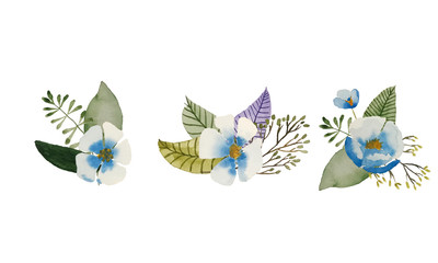 Set of blue flowers and leaves. Watercolor illustration. Set for creating patterns, typography, menus, design and postcards