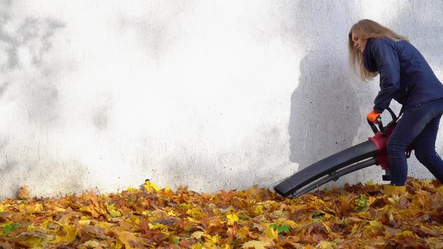 Woman using electric leaf blower tool to blow autumn leaves near house
