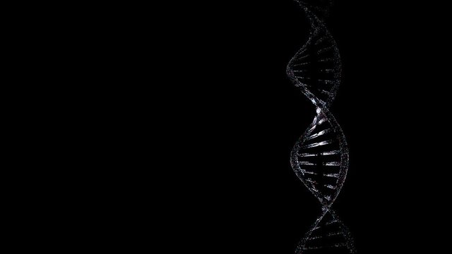 abstract glittering dna double helix with depth of field science animation of dna construction genom futuristic footage conceptual design of genetics information computer generated animation