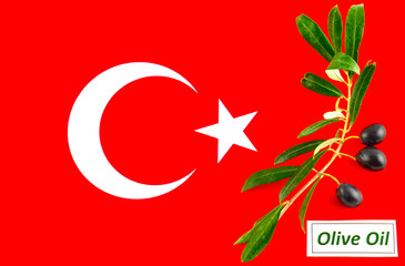 Olive branch with olives onto Turkish flag