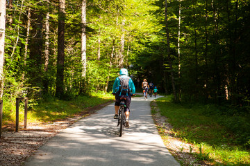 Mountain Bike cyclist riding countryside track