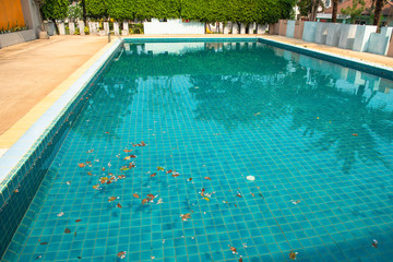 The pool is dirty, full of leaves and garbage.
