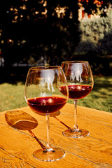 Two Glasses of Fresh Red Wine for Celebration