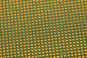 Golden pins of a core. Central processor unit. Shallow depth of field.