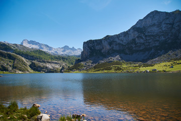 Naklejka na ściany i meble Lakes in the high mountains on a summer day