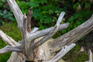A fancy wooden stump lies on the green grass.