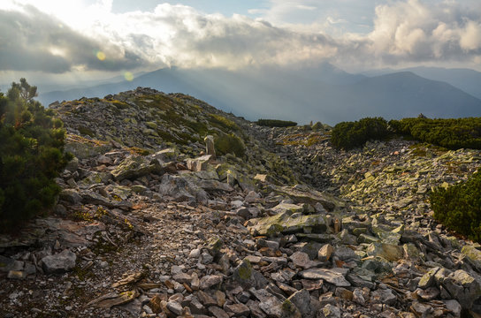Large lichen-covered stones and short spruce trees against the background of a mountain range in the clouds on top of the Grofa mountain at sunset. Central Gorgany, Ukraine