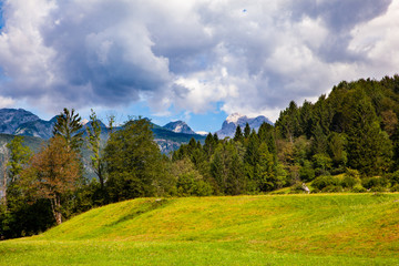 Fototapeta na wymiar Slovenian landscape in Bohinj