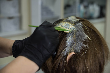 Professional hairdresser putting color mask dyeing hair of woman in beauty salon. Coloring hair spa and care procedures