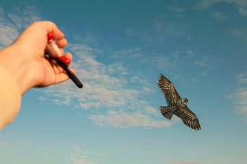 Control of a kite in the form of a bird.