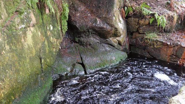 Rehberger Grabens am Grundablass