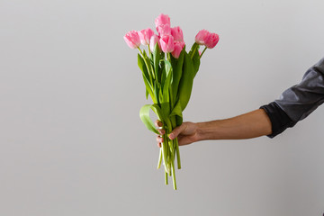 Male hand holding beautiful tulips on white background