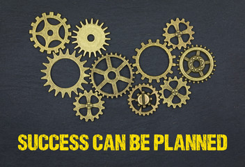 Success can be planned 