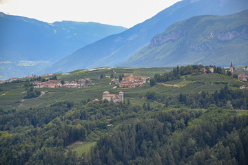 Fototapeta na wymiar paesaggio di montagna con valle e pineta 