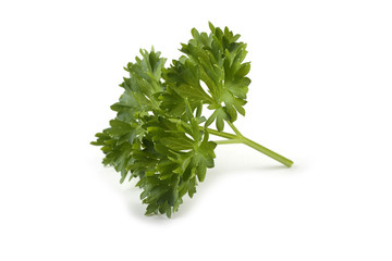 Parsley isolated on white