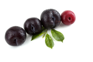 Plums and leaves
