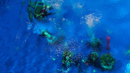 Fototapeta na wymiar Abstract background design template. Blue underwater surface, silhouettes of divers and air bubbles.