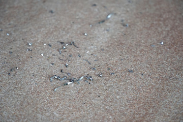 Scrap of material on the floor.