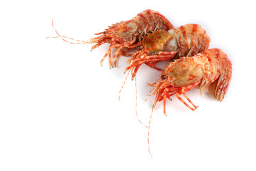 Shrimps isolated on white (northern Bering shrimp)