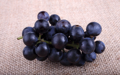 Black wine grape on bagging