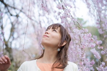 Naklejka premium 桜の木の下で撮るポートレート