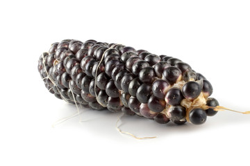 Black corn isolated on white