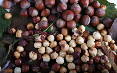 Hazelnuts on leaves background