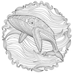 Coloring pages for adults with humpback whale for anti-stress coloring book with high details, isolated on pattern background, illustration in zentangle style. Vector
