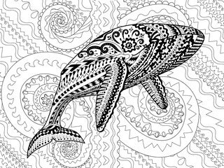 Coloring pages for adults with humpback whale for anti-stress coloring book with high details, isolated on pattern background, illustration in zentangle style. Vector - 330283300