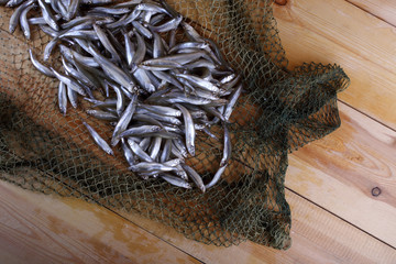 Smelt fishes on net (Pacific little smelt)