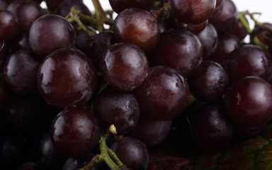 Grape on autumn leaves background