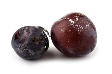Rotten plums isolated on white