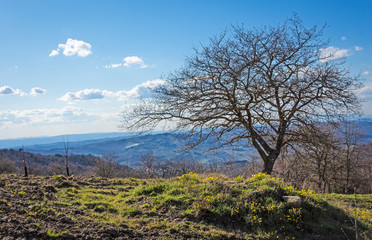 Sentieri di campagna