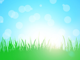 Green grass with blue sky with shining sun